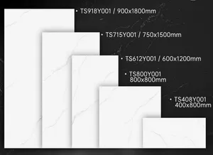 Best Sale Building Material 600X600mm and 600X1200 Polished Marble Ceramic Wall Tile and Porcelain Floor Tile