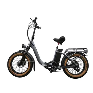48V 15ah Li-ion Battery off-Road Foldable E Bicycle Central Motor 20 Inch Folding Electric Bike