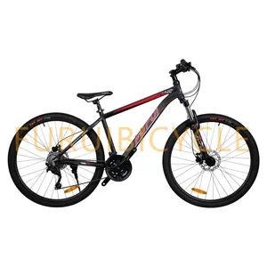 29 Inch MTB Aluminium Alloy Frame Suspension Fork Mountain Bicycle Bike