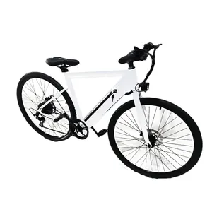 Middle Drive City for Adults Sale China Factory New Design Fat Tyre Electric Bike