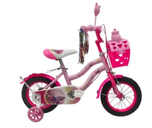 Princess Girl Children's 12 16 Inch Kids Bicycles Kids Bike for Ages 3-8 Years