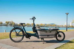 Wholesale Front Loading Fat Tire/Tyre Rideable Children MID Motor Battery Family Delivery Electric Cargo Bike At006