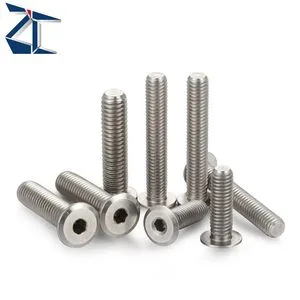 Zcbstsr Direct Factory Price Ultra Low Profile Hex Socket M2 M6 Socket Cap 304 Stainless Steel Screws Industrial Hardware for Automation Equipment Machine Screw