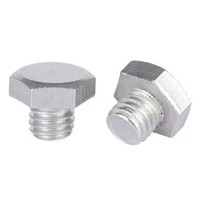 OEM Customized Hex Stainless Steel Hexagonal Screw for Marine and Coastal Projects