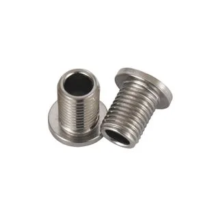 Stainless Steel/Aluminium/Brass/Nylon Hollow Screws