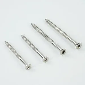 Stainless Steel Self Tapping Screw