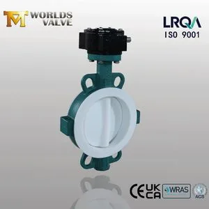 PTFE PFA Coated Wafer Pattern Butterfly Valve with Split Body for Acid Alkali Corrosive Medium Pn10 Pn16 Cl125 Cl150 JIS10K JIS5K