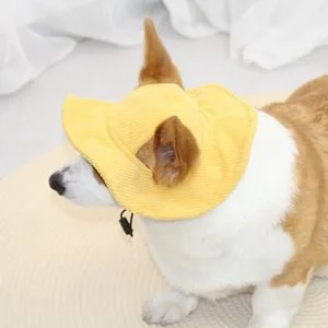 Top Rated Pet Sunshade Fisherman Hat Cute Dog Hat