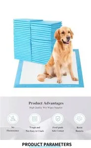 Disposable Underpad China Manufacturer Custom Logo Private Label Pet Training Pad